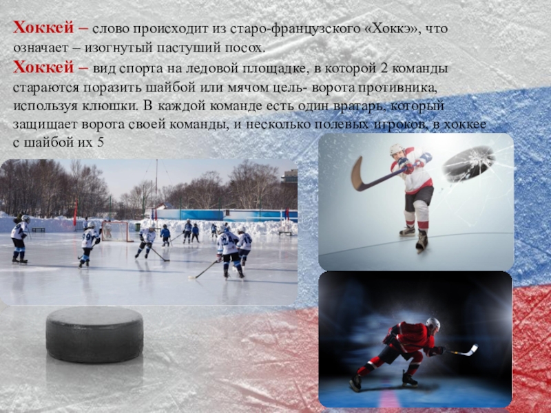 Хоккейные слова из 5 букв. Хоккей презентация. Хоккей реферат. Доклад про хоккей. Хоккейные слова.