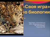 Презентация к внеклассному мероприятию Своя игра