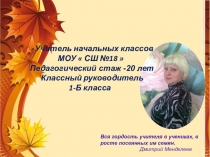 Презентация образец личного портфолио педагога
