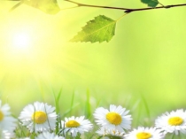 Презентация к занятию Похожие, но разные