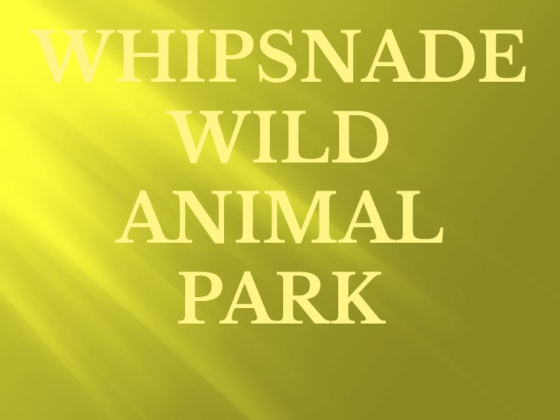 Презентация по английскому языку на тему Whipsnade wild animal park (5 класс)