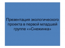 Презентация экологического проекта в первой младшей группе Снежинка