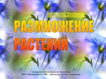 Презентация по биологии на темуСпособы размножения растений (6 класс)