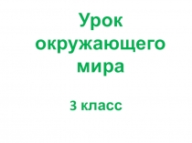 Презентация по окружающему миру Природа и наша безопасность (3 класс)