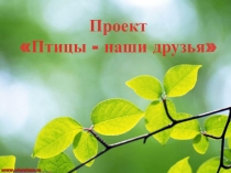 Проект Птицы – наши друзья (старшая группа, краткосрочный, творческий)