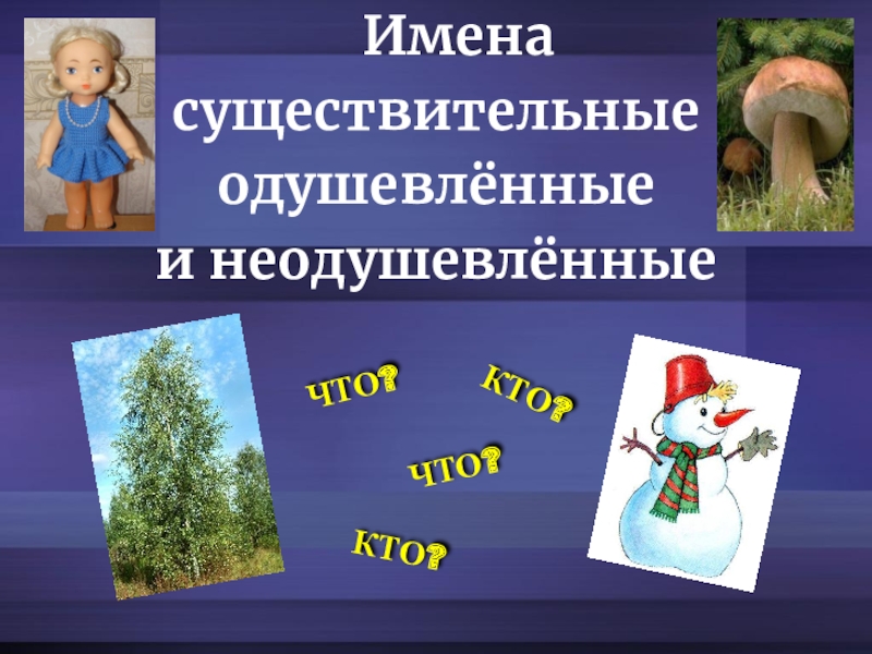 Имена существительные одушевленные и неодушевленные урок 5 класс презентация