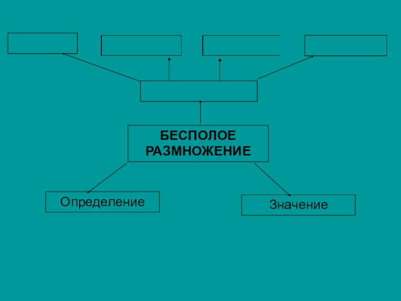 Размножение определение. Значение бесполого размножения. Роль бесполого размножения. Бесполое размножение определение. Биологическая роль полого размножения.