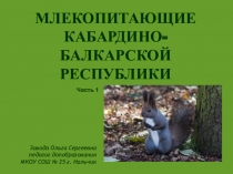 Презентация по доп. образованию Млекопитающие КБР часть 1