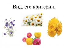 Презентация по биологии на тему Вид, его критерии