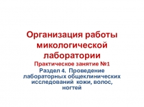 Практическое занятие №1 Организация работы микологической лаборатории