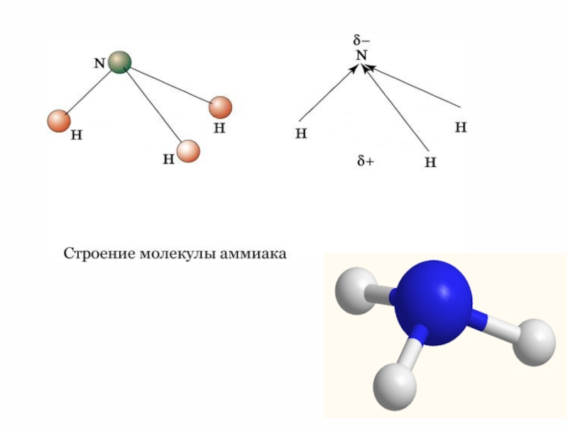 Строение молекулы аммиака. Пространственное строение аммиака. Электронное строение молекулы аммиака. Строение молекулы аммиака рисунок. Схема строения молекулы аммиака.