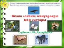 Біздің өлкенің жануарлары мен құстары