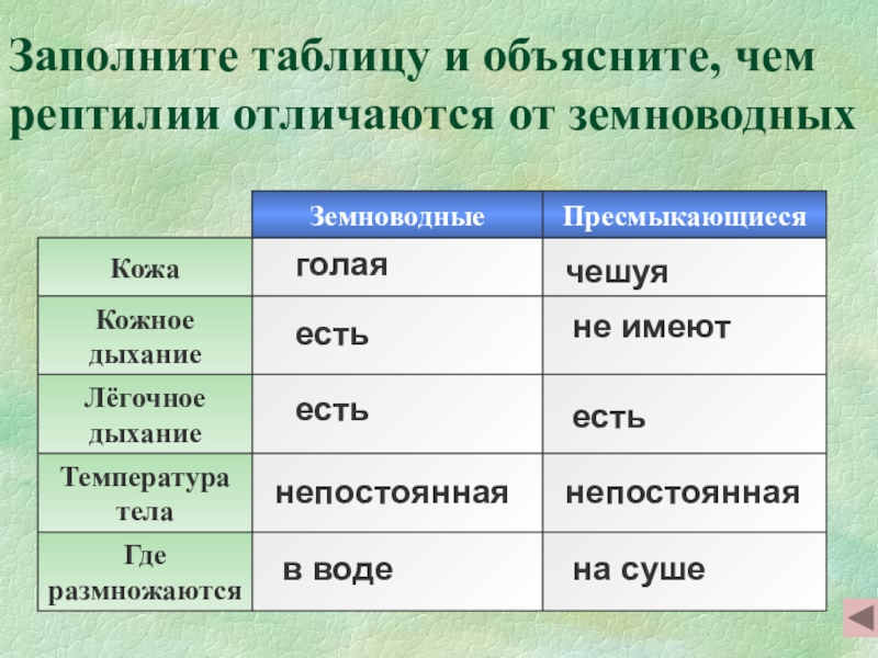 Сравнительная характеристика земноводных и пресмыкающихся по плану