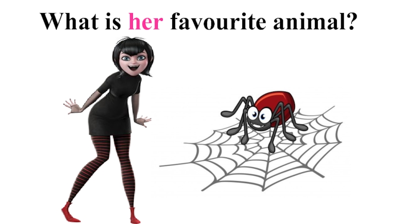 What is her favourite animal?