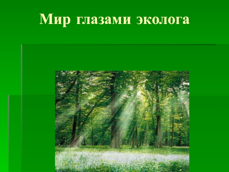 Мир глазами эколога 4 класс проект