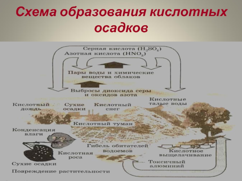 Схема механизм образования кислотных осадков