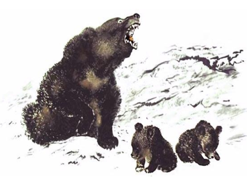 Рассказ сладкова медведь