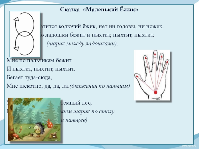 Забавный еж колюч схема предложения