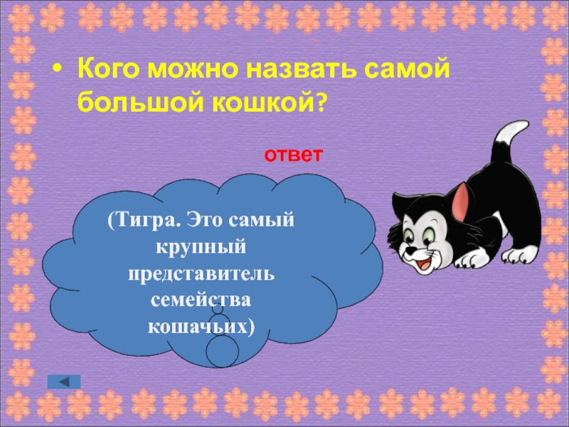 Как звали самого. Кого можно назвать. Кого можно назвать большой кошкой. Кого можно. Можно называть.