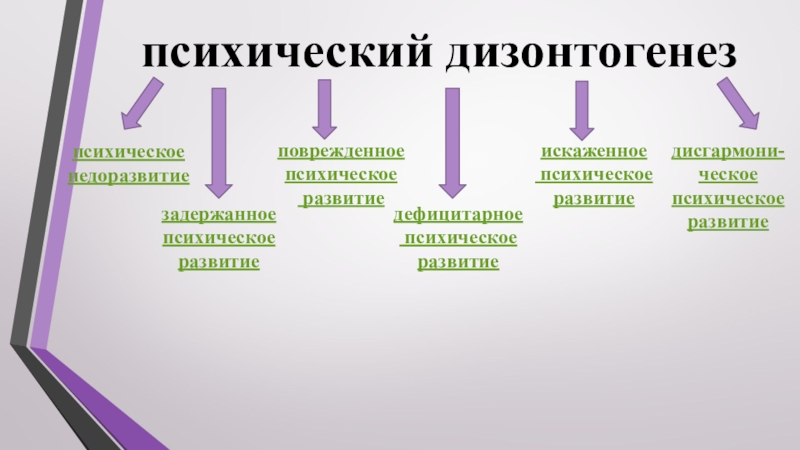 Искаженное развитие дизонтогенеза