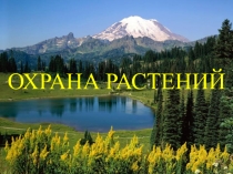Презентация по окружающему мирк на тему Охрана растений 3 класс