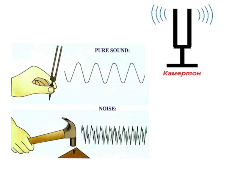 Источники звука звуковые. Акустические колебания. Источники звука звуковые колебания Камертон. Звуковые колебания рисунок. Источник звука - колеблющееся тело.