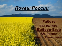 Презентация по географии 8 класса по теме Почвы России