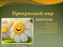 Презентация Прекрасный мир цветов