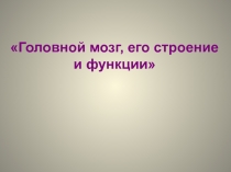 Презентация к уроку на тему Головной мозг, его строение и функции