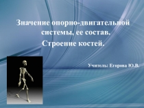 Презентация по биологии на тему Опорно-двигательная система