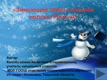 Презентация Зимующие птицы средней полосы России,живой мир,3 класс