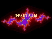 Презентация Теория фракталов . Фракталы в природе.
