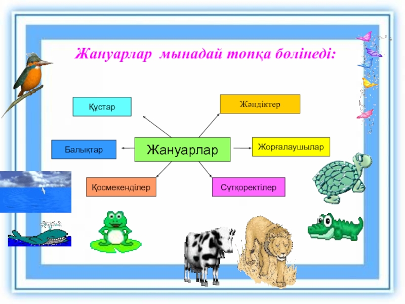 Өсімдіктер мен жануарлардың адам өміріндегі рөлі презентация