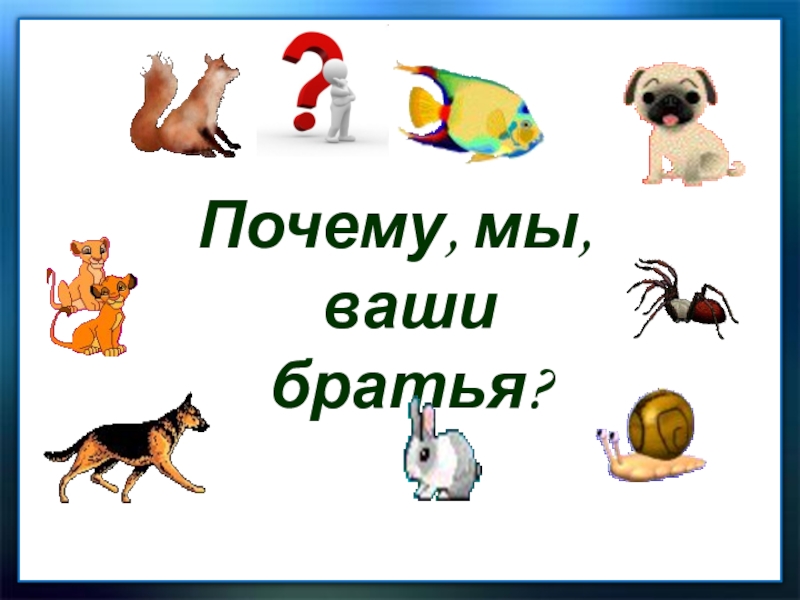 Стихи о животных г сапгира и токмаковой м пляцковского 1 класс презентация