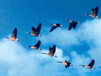 Презентация  Путешествие по Казахстану