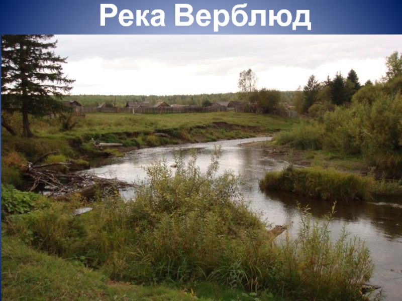 Водоемы родного края 4 класс