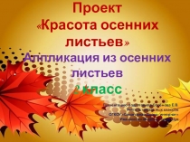 Проект Красота осенних листьев