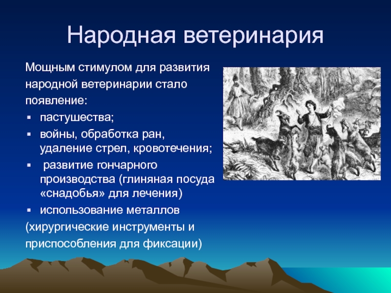 Появление стали. Народная Ветеринария. Периоды развития ветеринарии. Период народной ветеринарии. Ветеринария древней Руси.