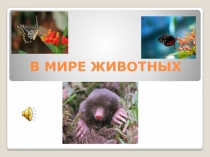 Презентация: Проект Дикие животные. Изделие Коллаж.