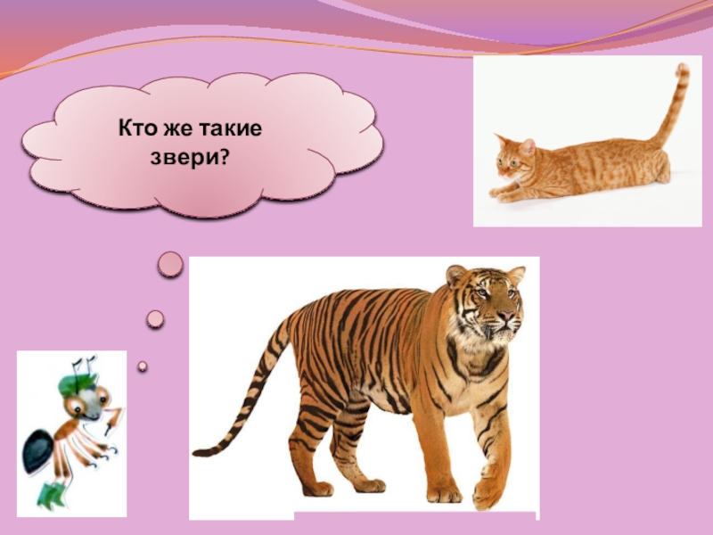 Окружающий мир 1 кто такие звери. Кто такие звери. Тест кто такие звери. Кто такие звери 1 класс видеоурок. Зверь слов.