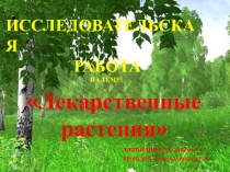 Презентация по окружающему миру:Лекарственные растения(3 класс)
