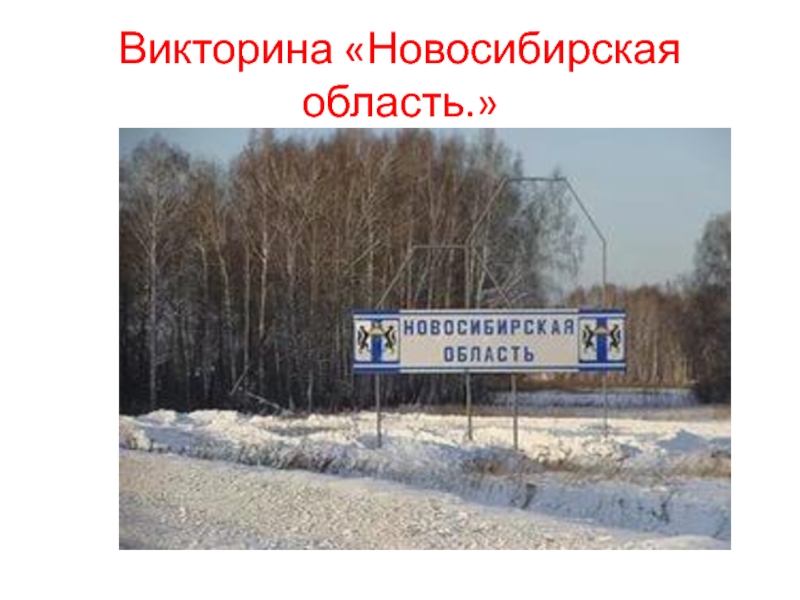 Викторина «Новосибирская область.»