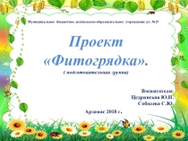Проект на тему Фитогрядка ( подговительная группа)