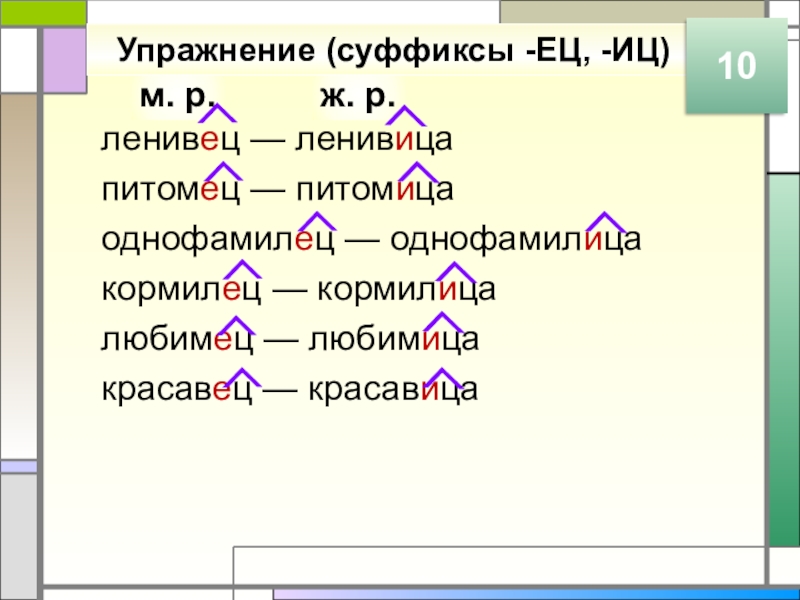 м. р.ж. р.Упражнение (суффиксы -ЕЦ, -ИЦ)ленивец — ленивицапитомец — питомицаоднофамилец — однофамилица кормилец — кормилица любимец —