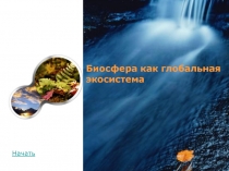 Презентация по биологии в 11 классе Биосфера-глобальная экосистема