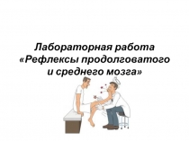 Лабораторная работа Рефлексы продолговатого и среднего мозга