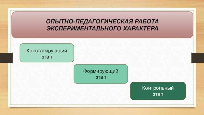 Опытно педагогическая работа