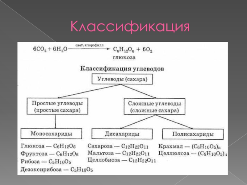 Углеводы их классификация презентация