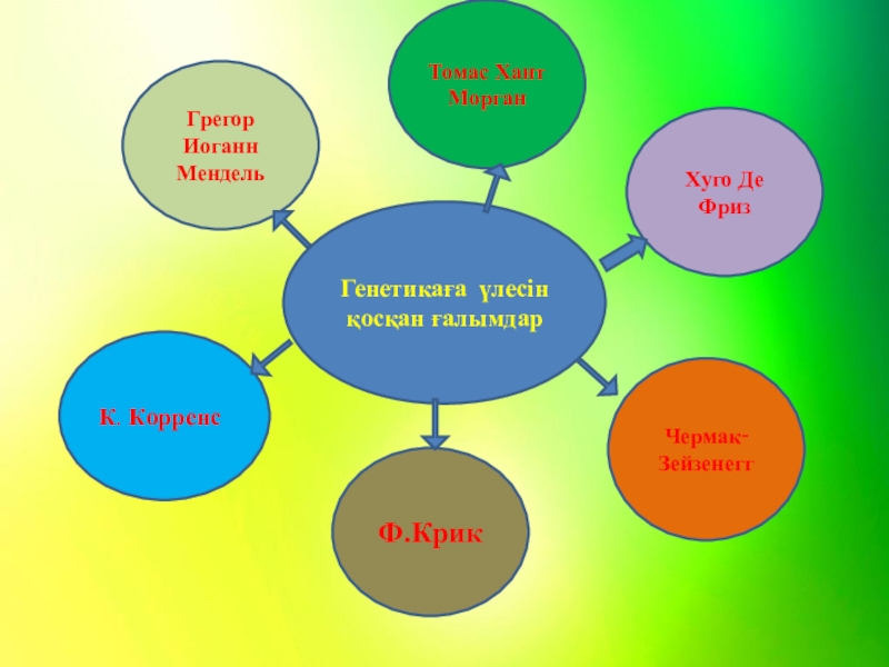 Ағзаның ішкі ортасы және оның маңызы презентация