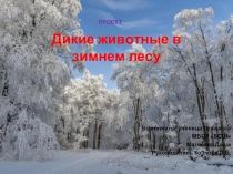 Проект Дикие животные в зимнем лесу(2 класс)